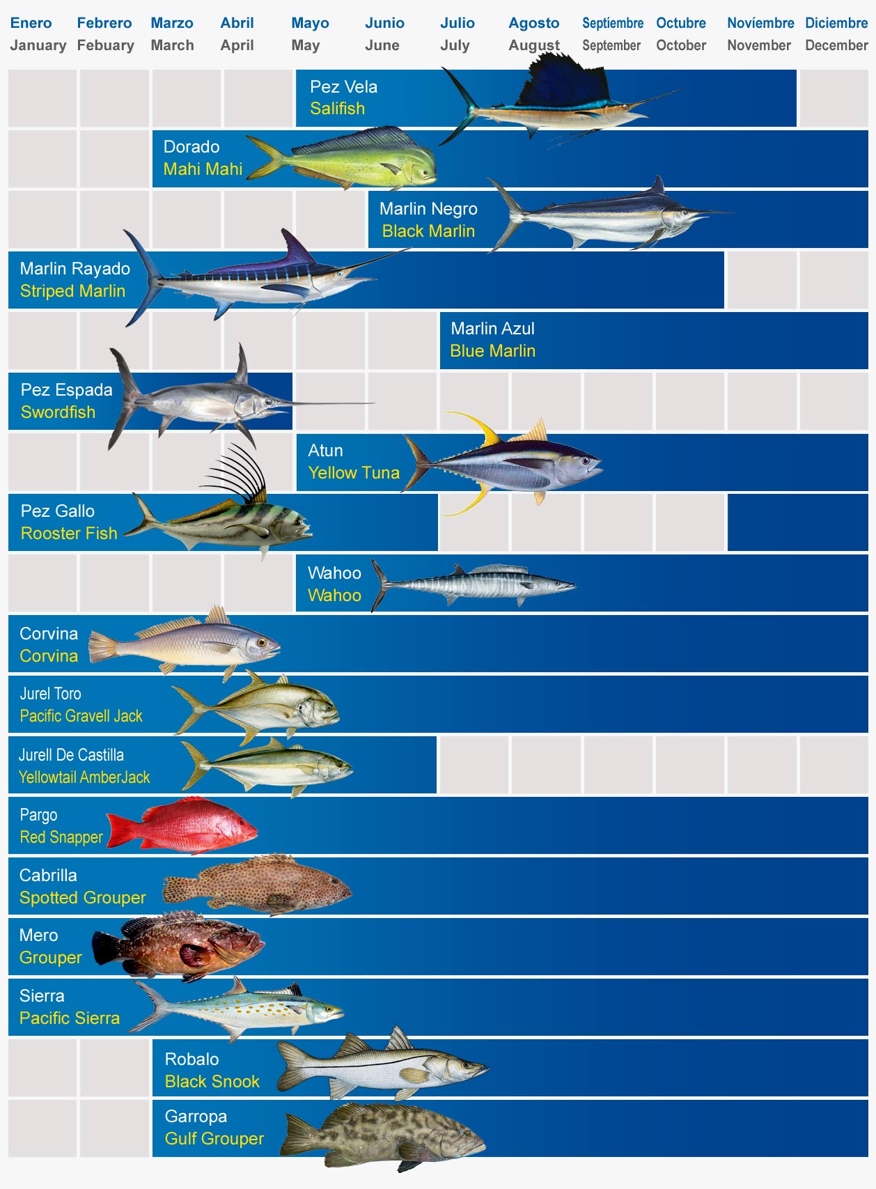 Punta Cana Bavaro Fishing Calendar